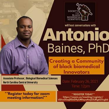 安东尼奥贝因斯飞轮