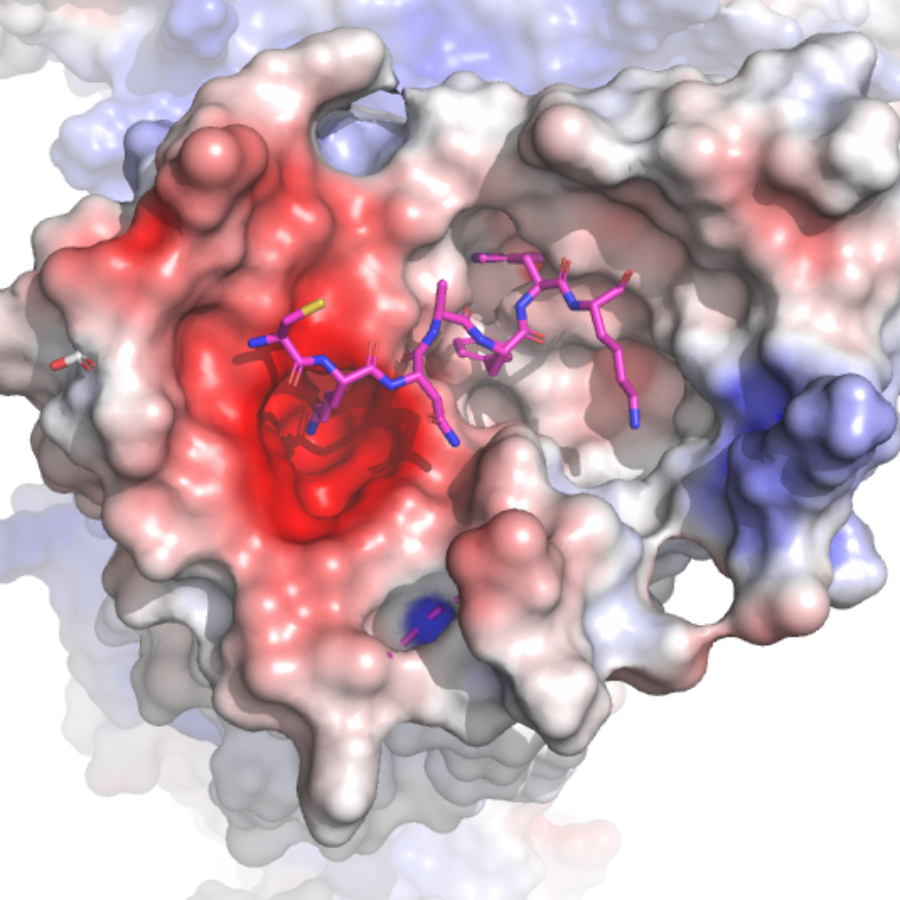 Cryo-EMITCH接收器