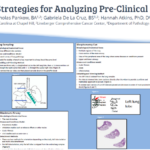 Nicholas Pankow、Gaby de la Cruz和Hannah Atkins是2024国家历史技术招贴画协会优选招贴画的作者