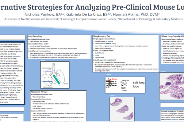 Nicholas Pankow、Gaby de la Cruz和Hannah Atkins是2024国家历史技术招贴画协会优选招贴画的作者